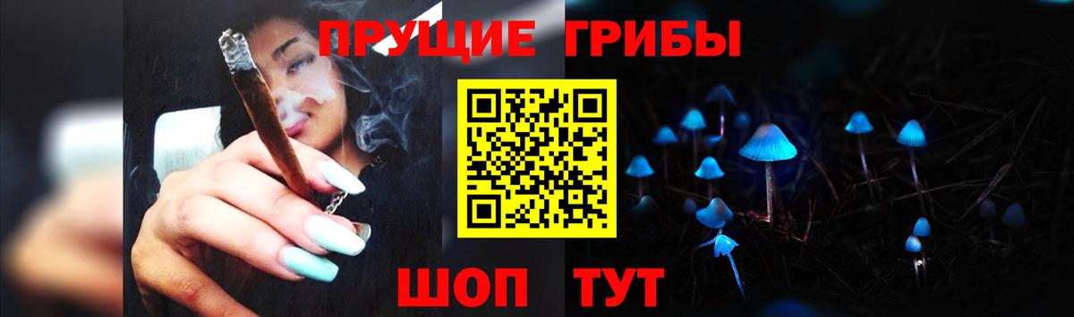 Северск  Галлюциногенные грибы GOLDEN TEACHER  Вход с VPN 